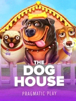 The Dog House at Casiny