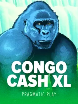 Congo Cash XL at Casiny